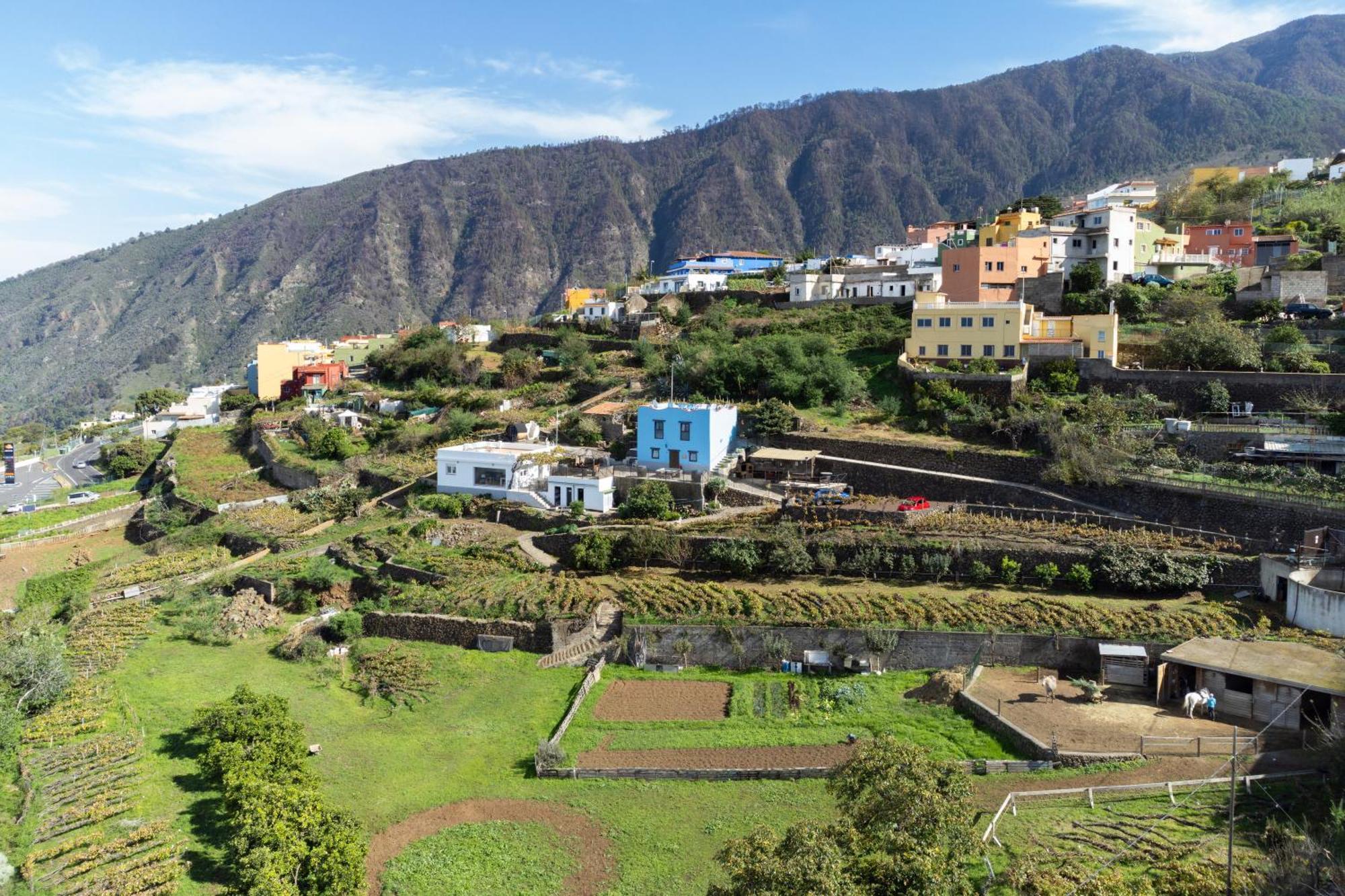 Ek Teide El Milagro Apartment La Orotava