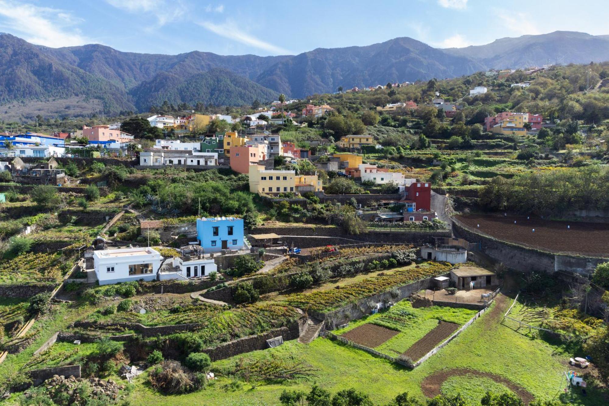 Ek Teide El Milagro * La Orotava